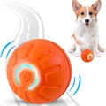 orange dog ball