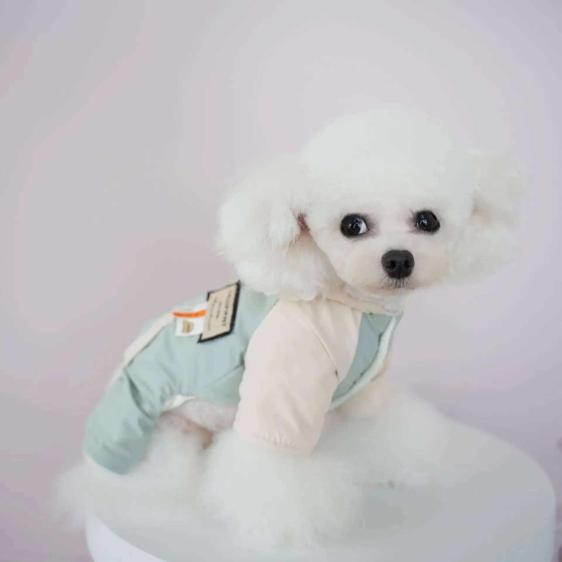 Ropa informal de cuatro patas con bolsillo para mascotas, cortavientos de otoño e invierno, ropa impermeable y resistente al viento para exteriores, ropa para caminar para perros - imagen 3