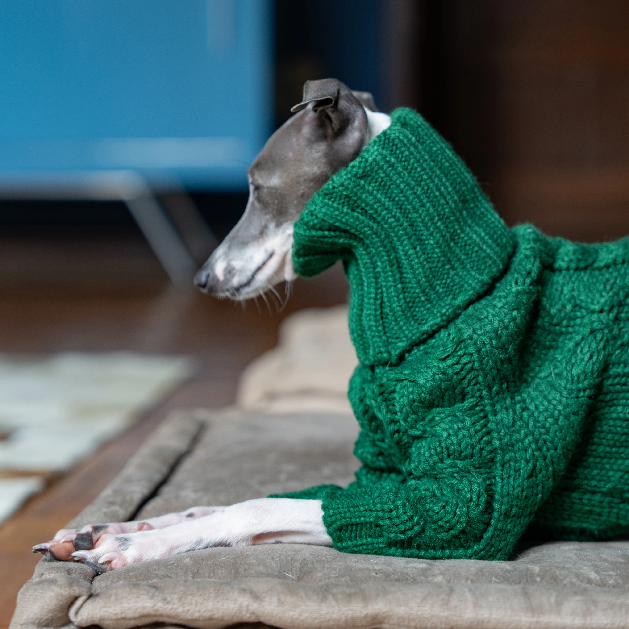 Suéter grueso de cuello alto verde para mascotas, ropa de punto para perros de dos patas, galgo italiano, whippet - imagen 4
