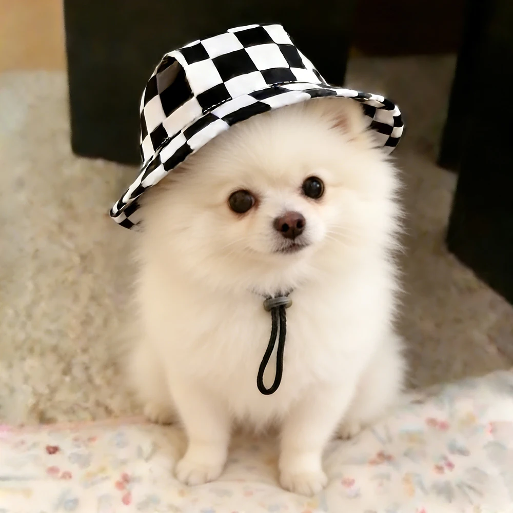 Gorro para perros pequeños y medianos - Pug, Corgi, Dachshund - imagen 2