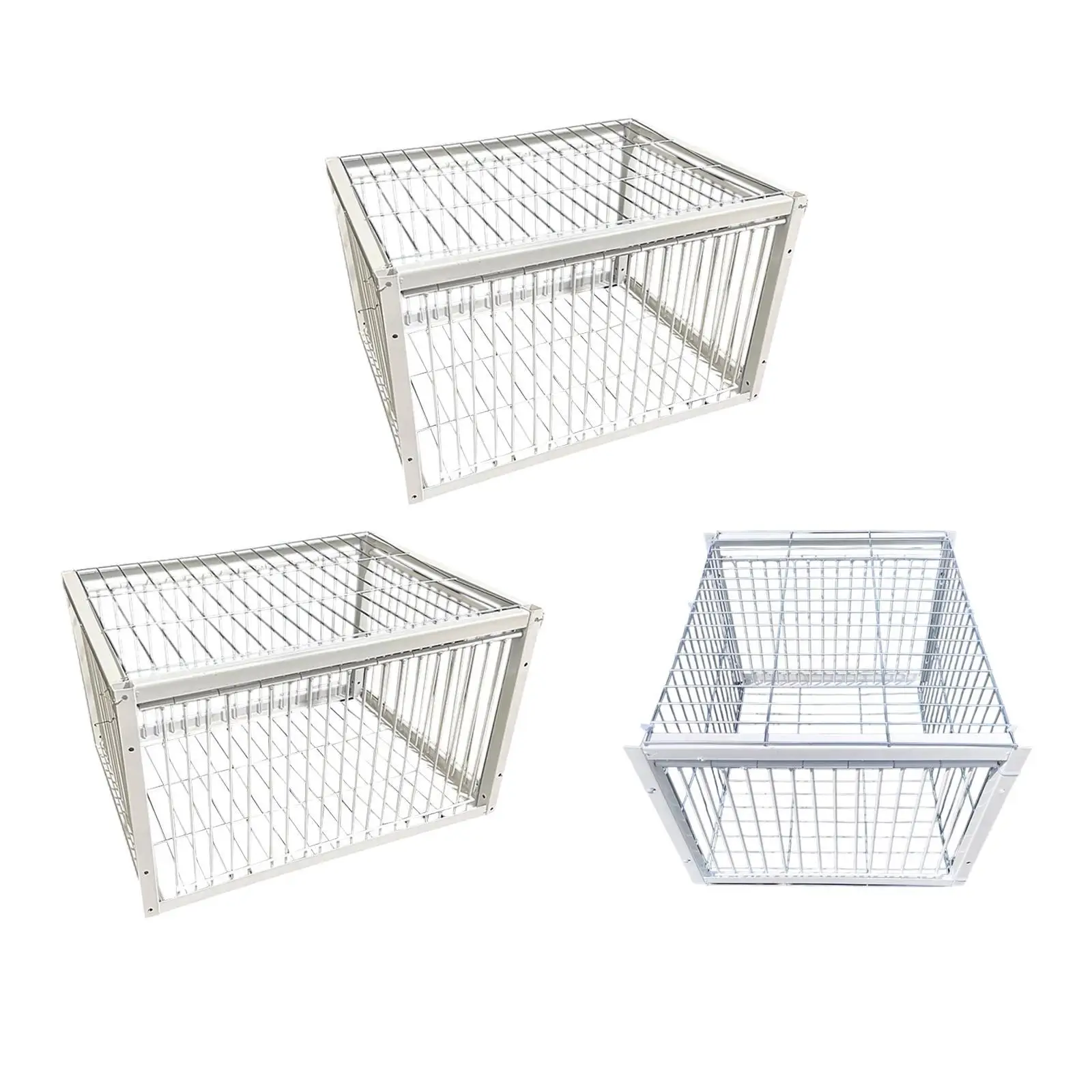 Pigeon Bird Trap Cage Automatic Pigeon Collection for Chicken Sparrows Feral