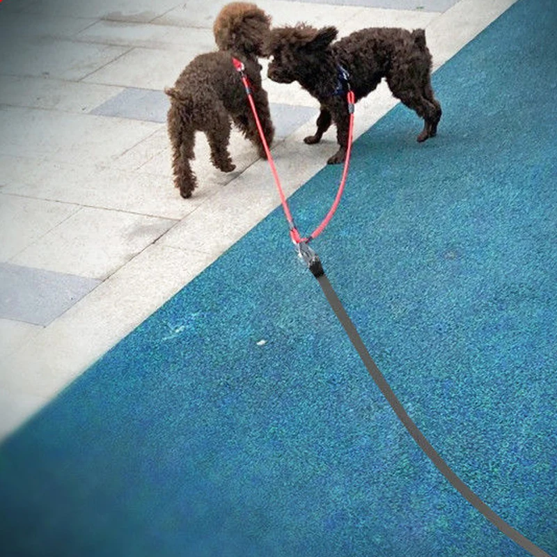 Acopladores de correa para perro, cuerda de 2 vías, correa doble para mascota, cinturón para caminar al aire libre para dos cachorros, Chihuahua, perros pequeños, accesorios de plomo - imagen 3