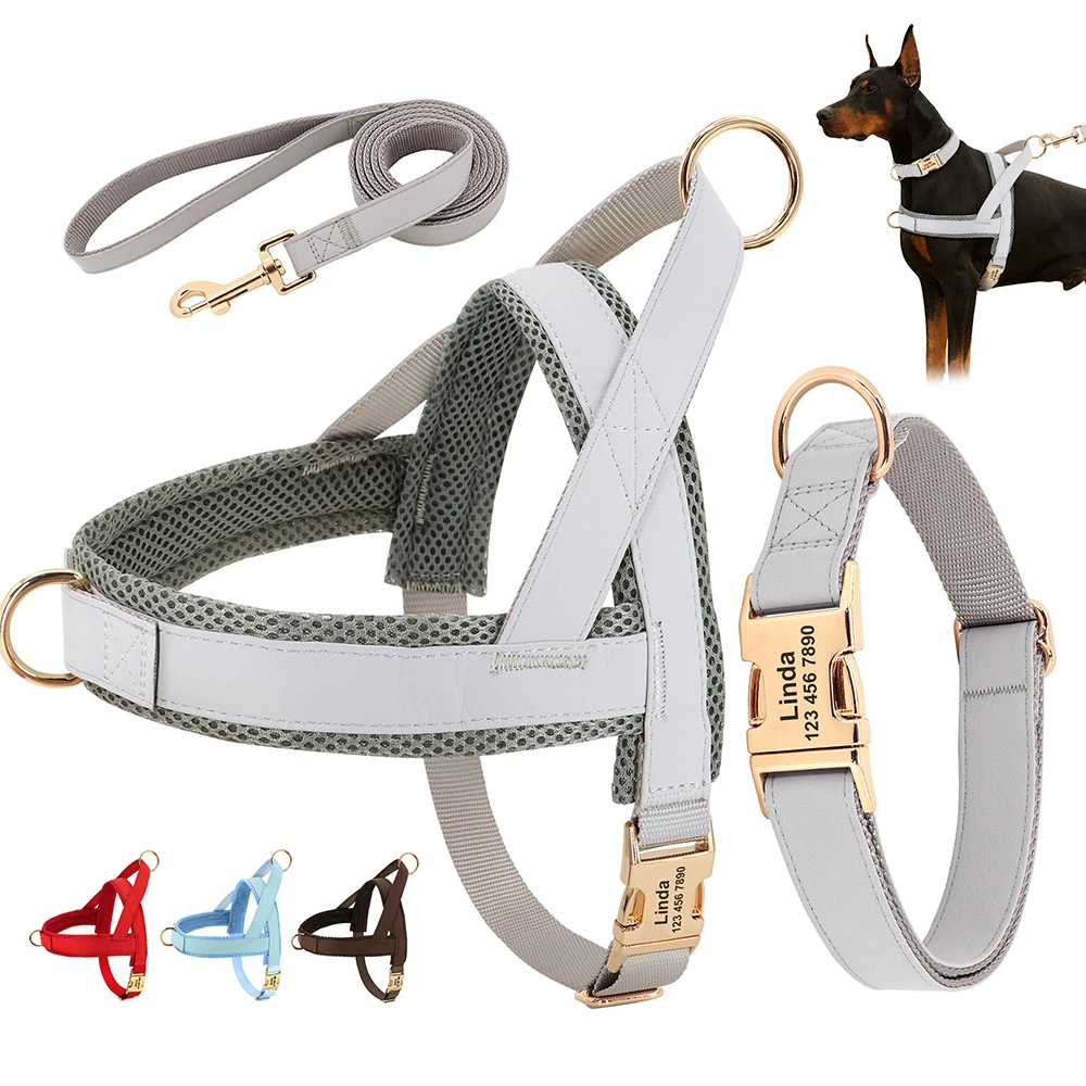 Conjunto de correa de arnés de Collar de perro personalizado, collares de perro personalizados, chaleco para mascotas sin tirar para perros pequeños, medianos y grandes, cuerda de plomo para caminar