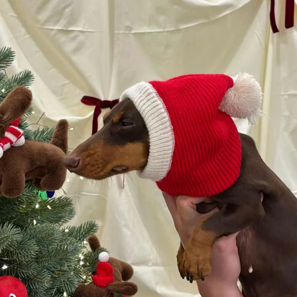 Wiener Dogs Año nuevo Navidad sombrero rojo invierno cálido jersey tejido a mano para perros salchicha lindo sombrero de vacaciones para perros tejón - imagen 2