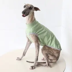 Ropa solar para perros Whippet y Galgo Italiano, transpirable y ligera