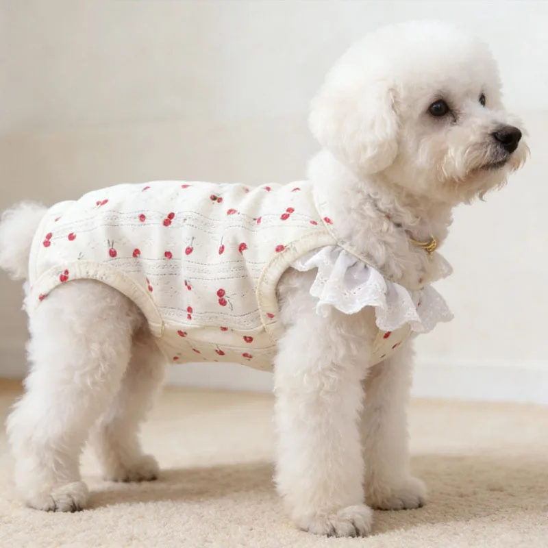 Mono verano para perras pequeñas – Pijama suave para Chihuahua, Yorkshire y Bichón - imagen 2
