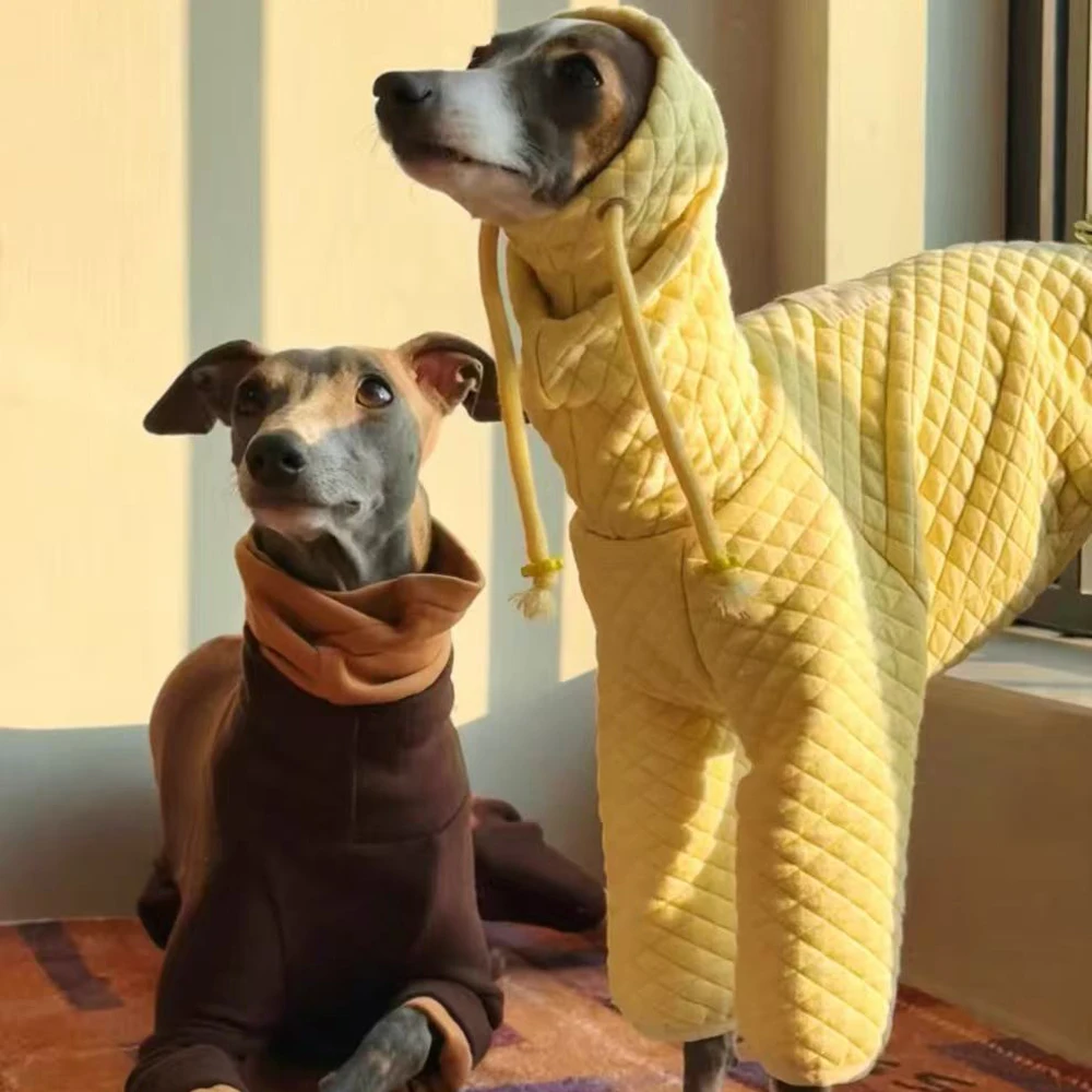 Ropa de invierno para perros: sudadera cálida para galgo italiano - imagen 4