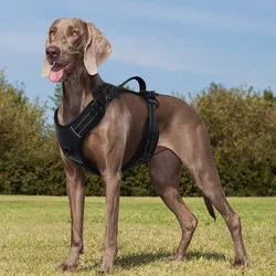 Arnés anti-tirones acolchado para perros con asa reflectante
