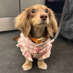 Chaleco con mangas para perros salchicha primavera verano cuadros rosa