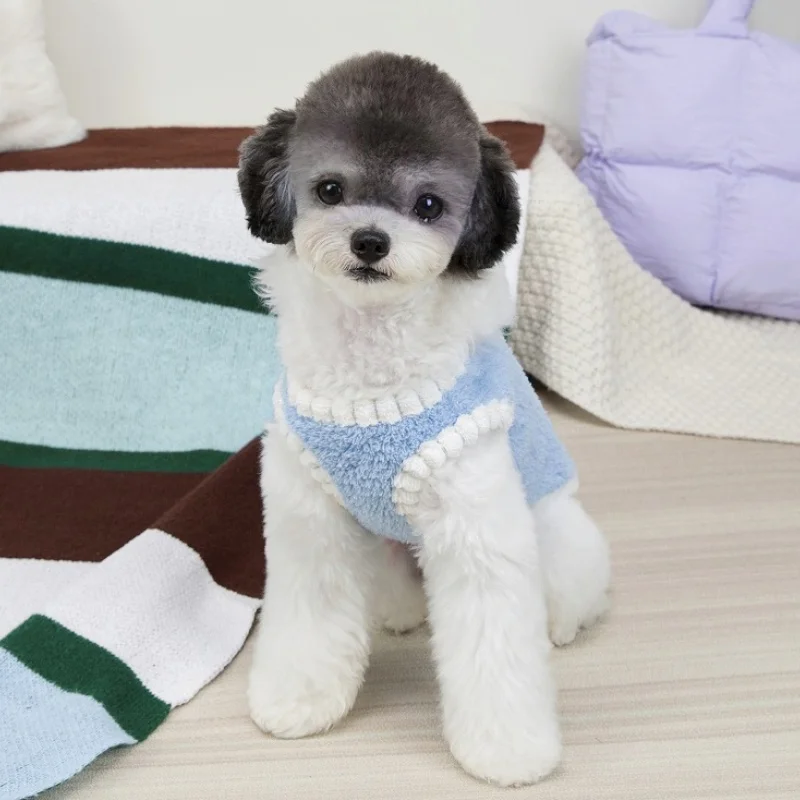 Ropa de lana otoñal para perros y gatos – Chaleco, sudadera Chihuahua - imagen 4
