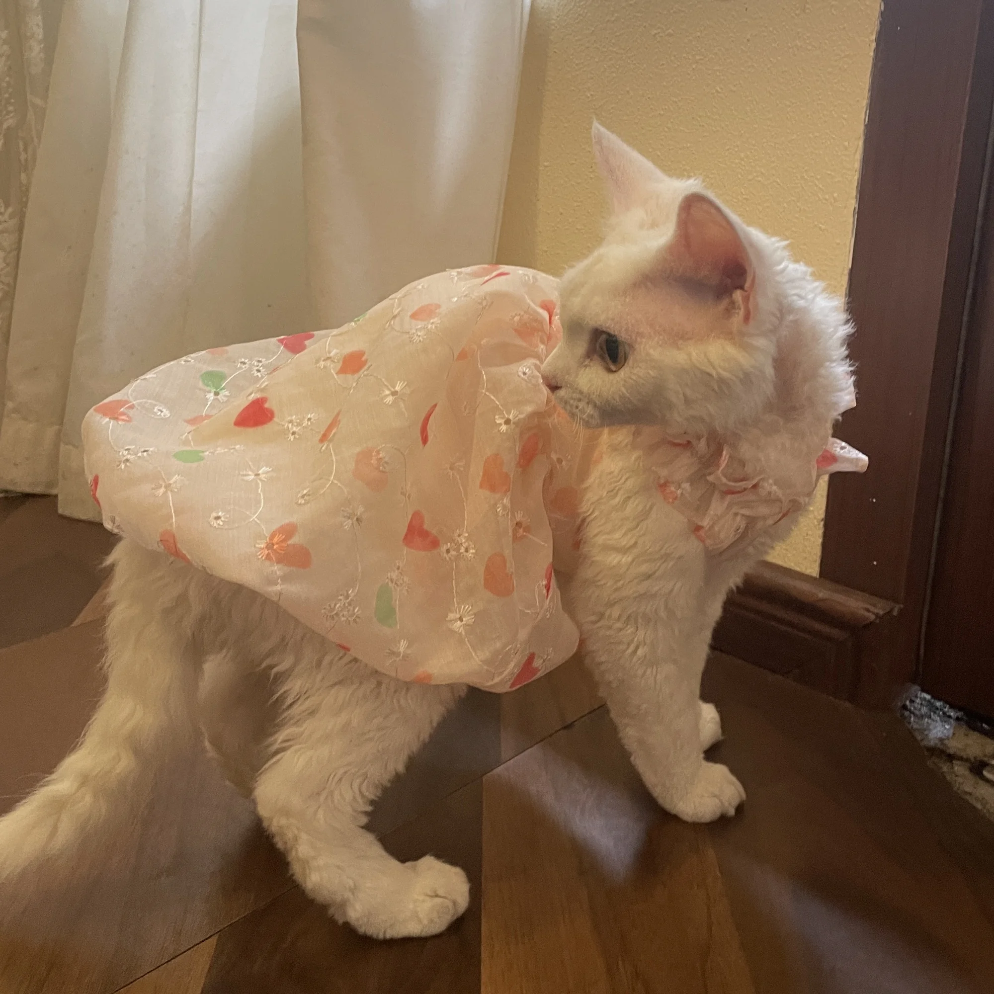 Vestido de princesa de doble cara de verano con interior de algodón suave para gato Sphynx falda rosa dulce transpirable Tiara con lazo para gato femenino - imagen 3