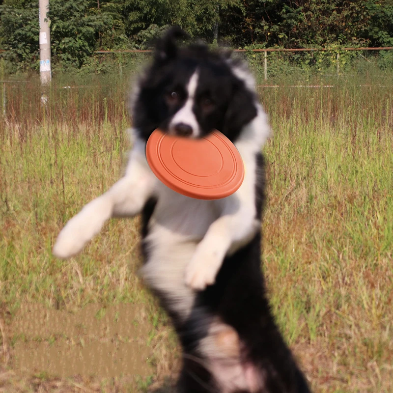 Frisbee volador de silicona para perros – Juguete exterior - imagen 5