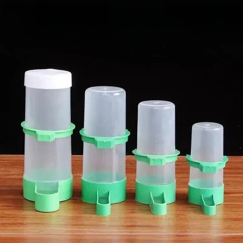 Alimentador de agua automático para loros, caja de comida para pájaros, Accesorios para aves, Pajaros - imagen 2