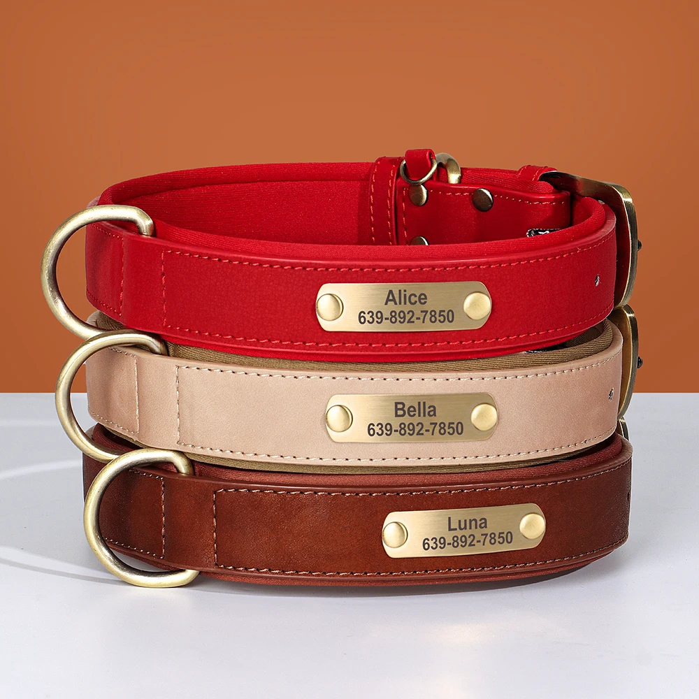 Collar de perro personalizado, collares acolchados suaves para perros, etiqueta de identificación antipérdida para perros pequeños, medianos y grandes, Pitbull Bulldog Beagle Perro - imagen 2