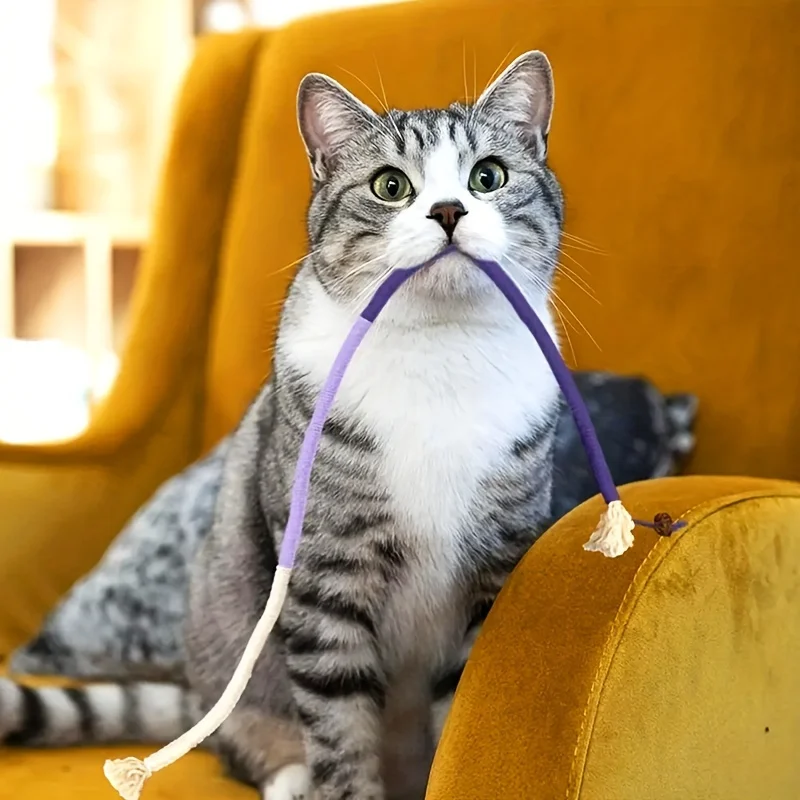 Juguete de cuerda para morder gato, juguete duradero para rechinar los dientes, 1 ud. - imagen 3