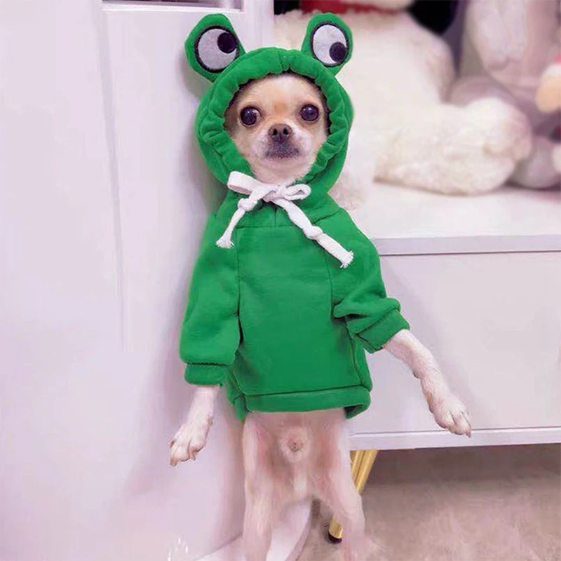 Adorable sudadera con capucha para perro con temática de frutas y sombrero, divertido disfraz de cosplay de Halloween para perros y gatos, acogedora sudadera con capucha para mascotas - imagen 4