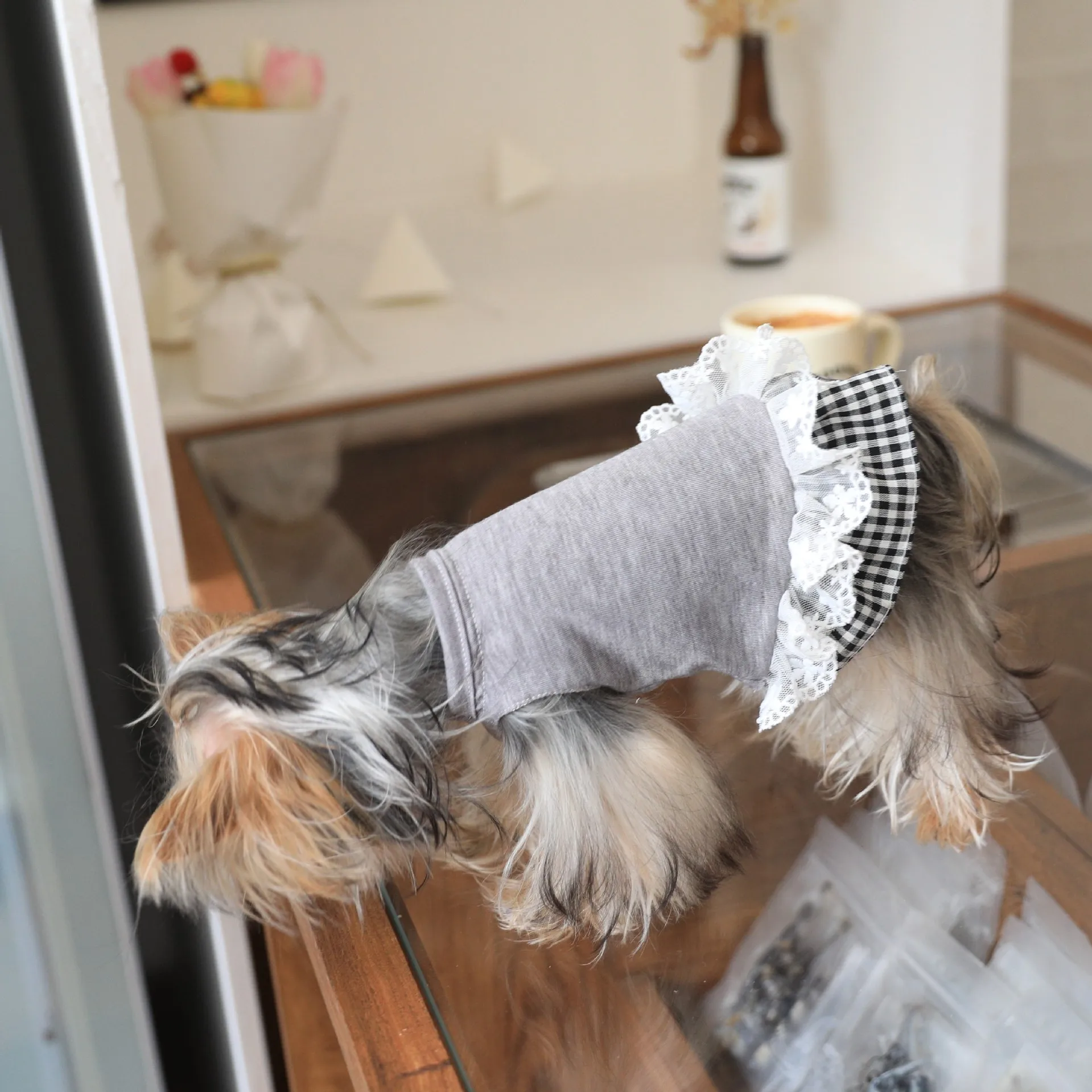 Camisa básica de Color sólido para mascotas, vestido de encaje a cuadros, camiseta para gato, perro de peluche, ropa para cachorros pequeños, primavera