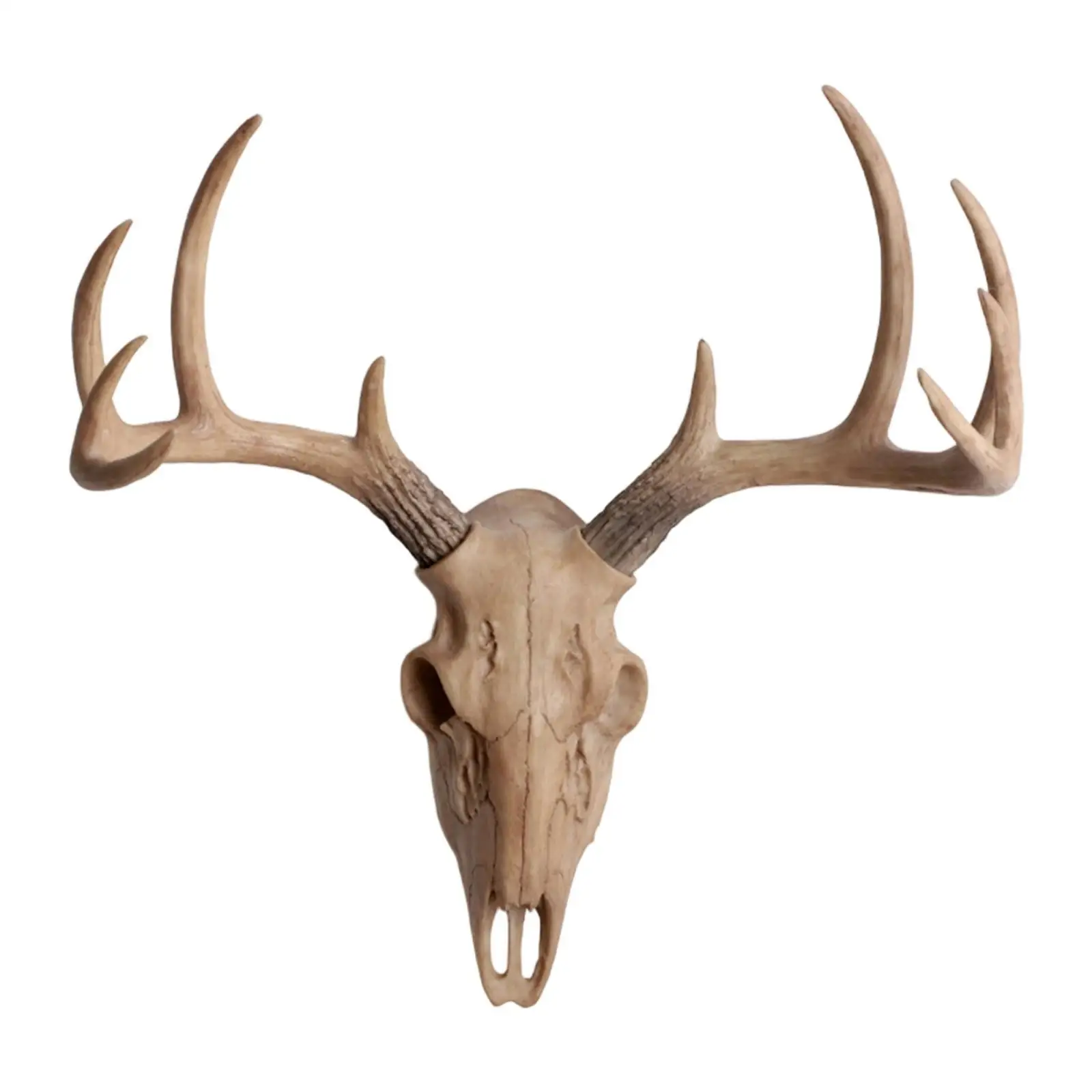 Animal Heads Wall Decor,Sheep Skull Head Wall Decor,Animal Figurine, Head Wall Decor,Resin Statue! Statue