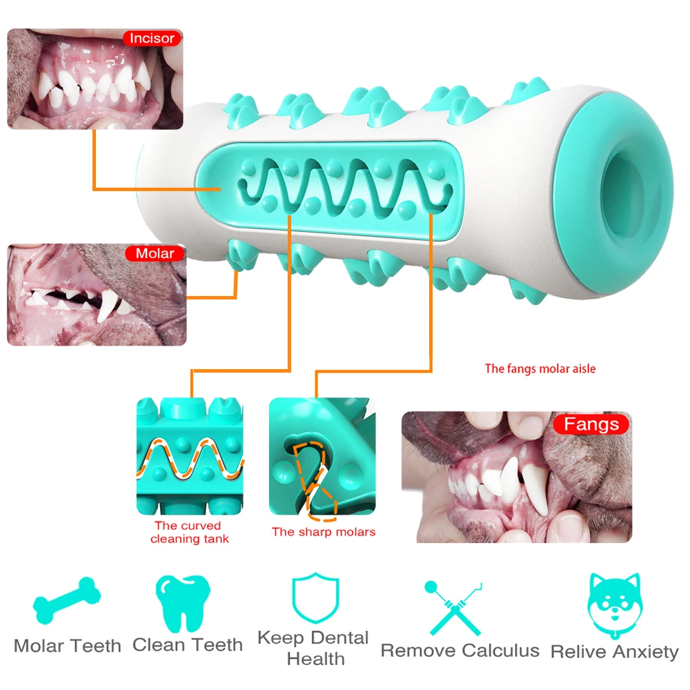 Cepillo de dientes Molar para perros, juguete para masticar para perros pequeños y grandes, palo resistente a mordeduras, cuidado Dental seguro para cachorros, suministros de juguetes para limpieza de dientes - imagen 2