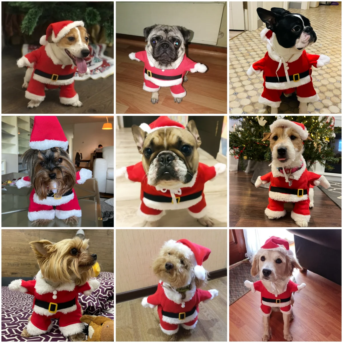Disfraz navideño Papá Noel para perros y gatos pequeños - imagen 4