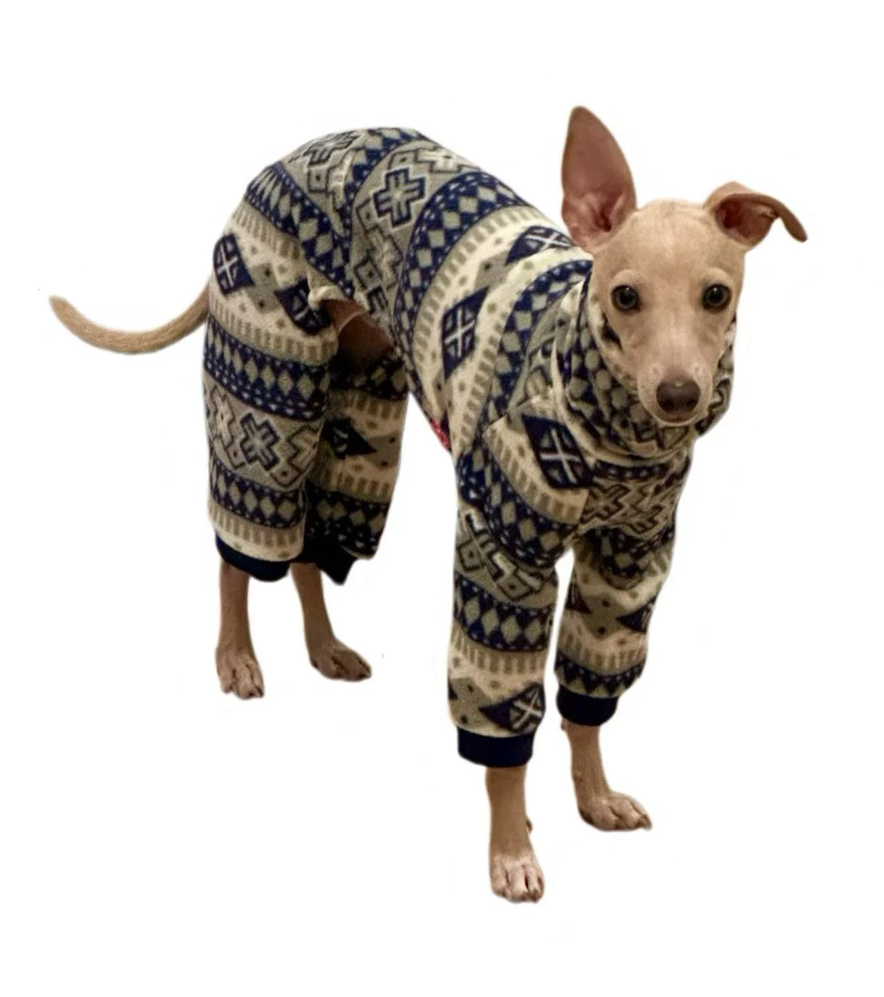 Jersey bohemio de invierno para galgo italiano y whippet – Cuello alto