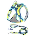 blue with 1.5m leash