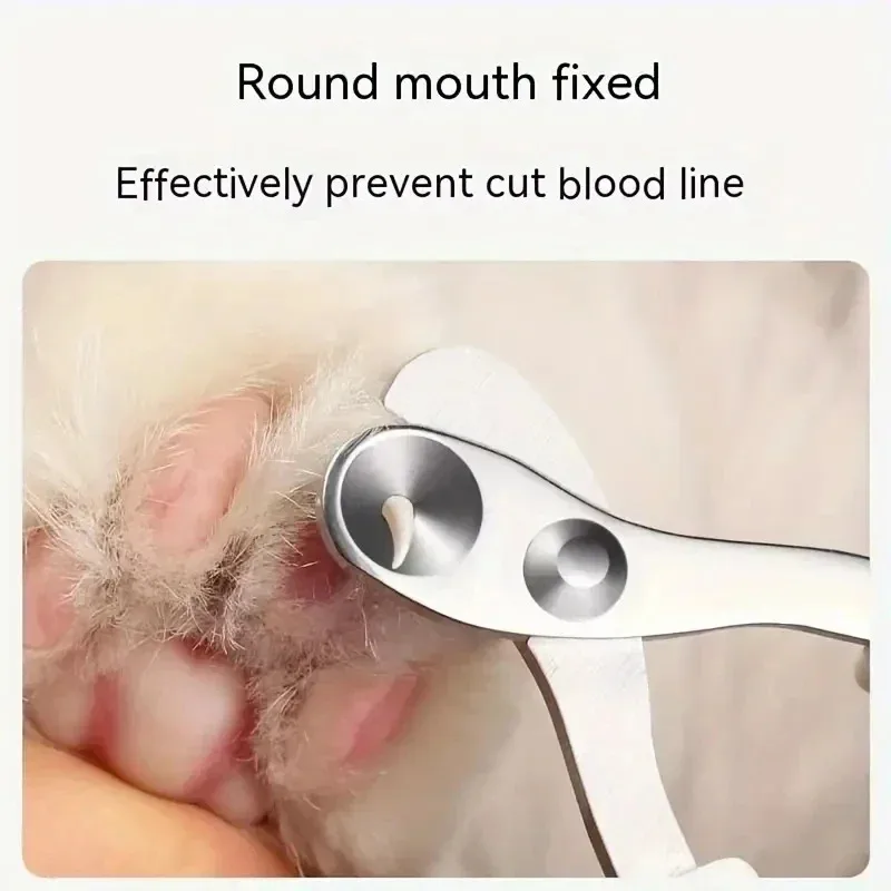 Cortauñas para animales pequeños para gatos, cortaúñas de acero inoxidable para mascotas, suministros para perros y gatos - imagen 4