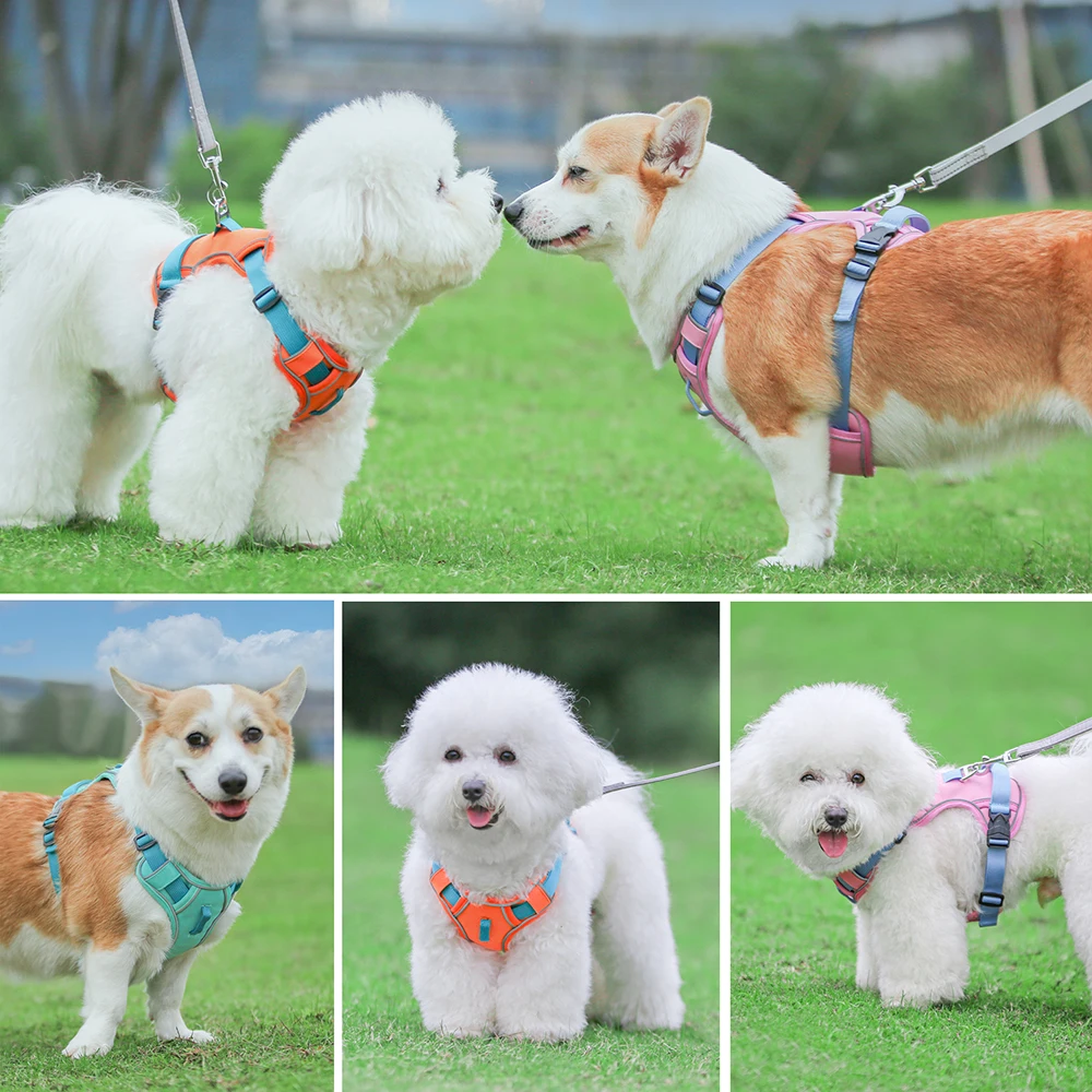 Arnés reflectante para perros, chaleco con arnés de nailon para perros con mango de fácil Control para perros pequeños, medianos y grandes, entrenamiento de Labrador para correr - imagen 5