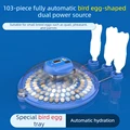 103 bird Egg power