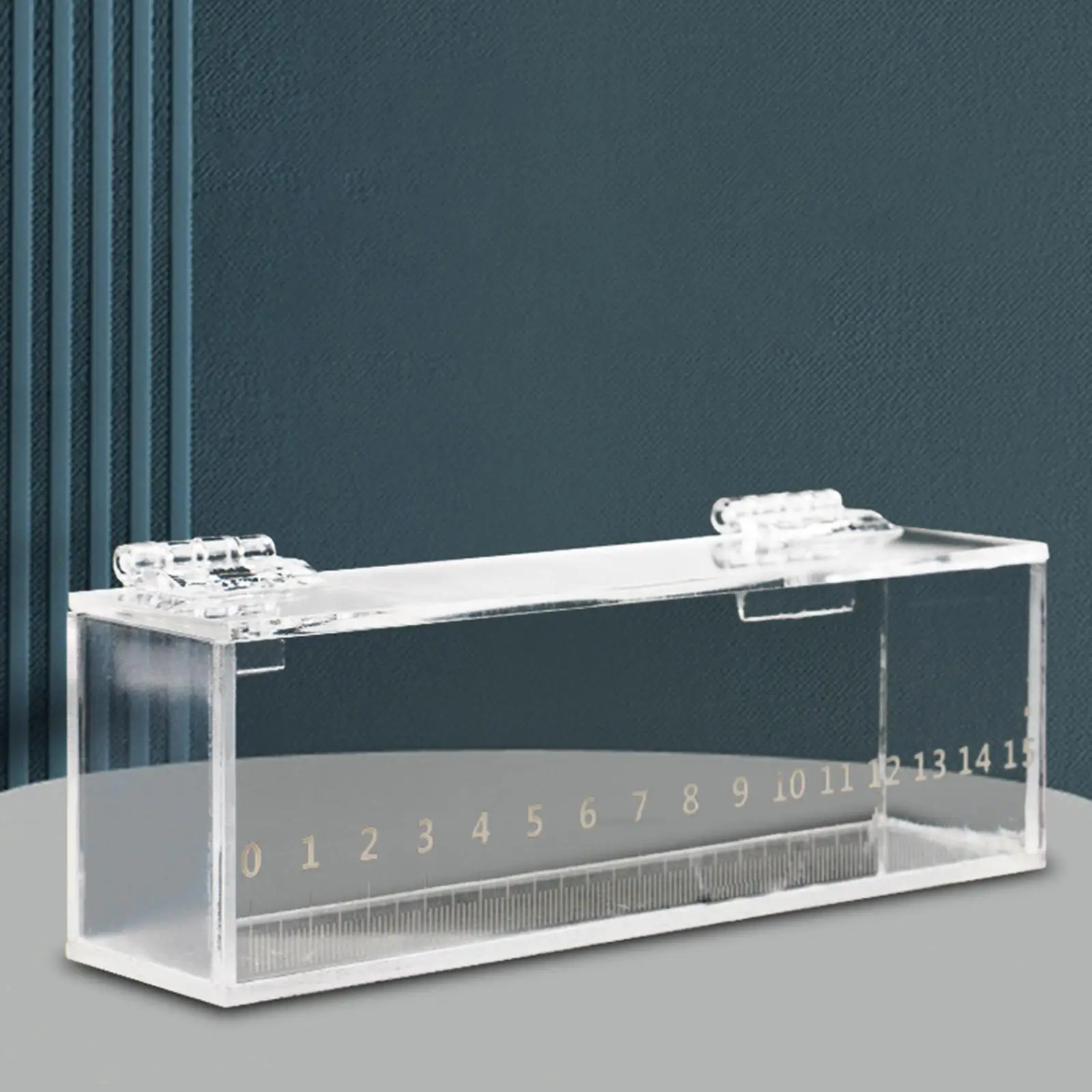 Fish Viewing Box with Scale Fishing Acrylic Isolation Breeder Box Fish Breeding Tanks with Lid