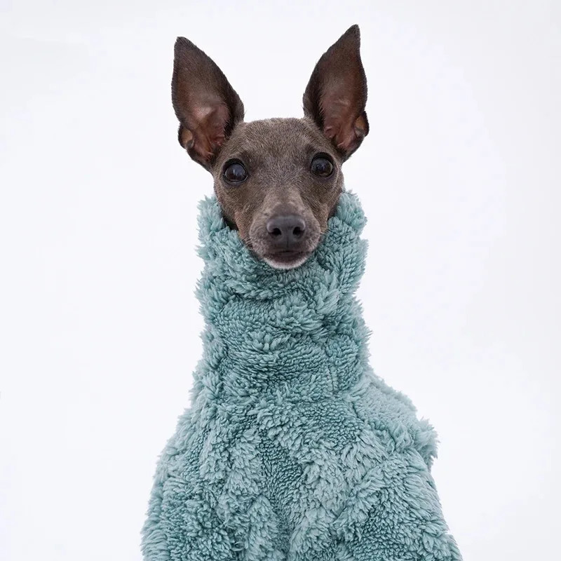 Ropa para perros, ropa cálida de invierno para galgo italiano, ropa Polar de lana para Whippet, ropa Lingtons de cuello alto, ropa cálida para perros