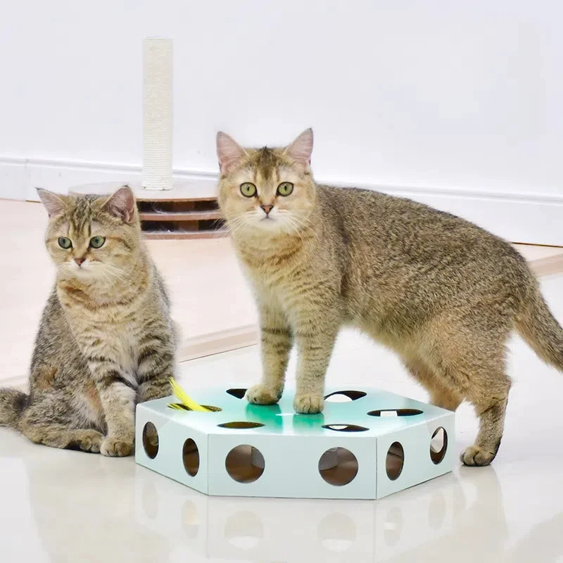 Nuevos juguetes interactivos para gatos cay Play, juguete automático de plumas, juguete Teaser Hide n Seek para gatos y gatitos - imagen 4