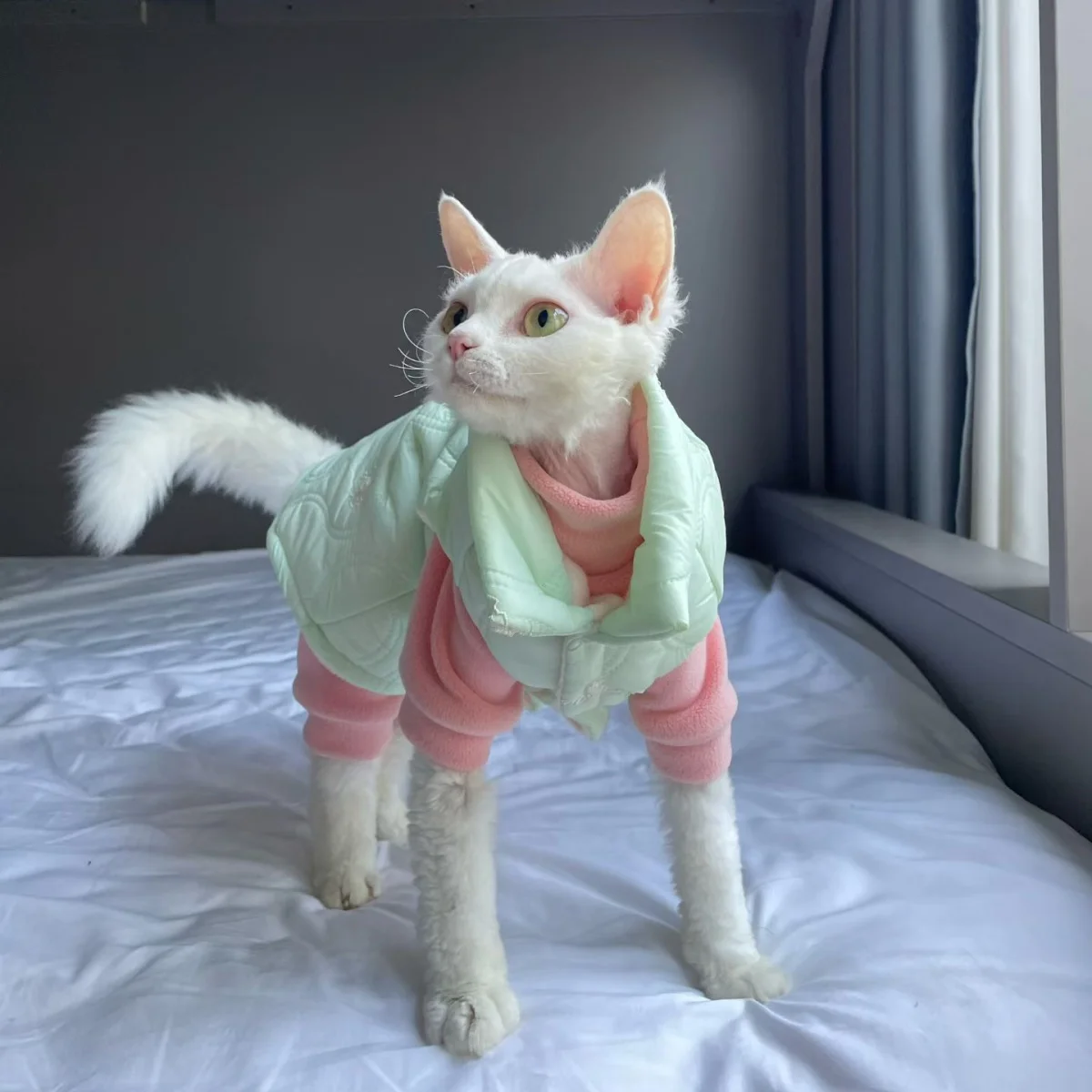 Chaqueta gruesa de lana a prueba de viento para gato Sphynx, abrigo verde cálido con botones y cuello alto para gatitos, ropa de descanso para Devon Rex, invierno