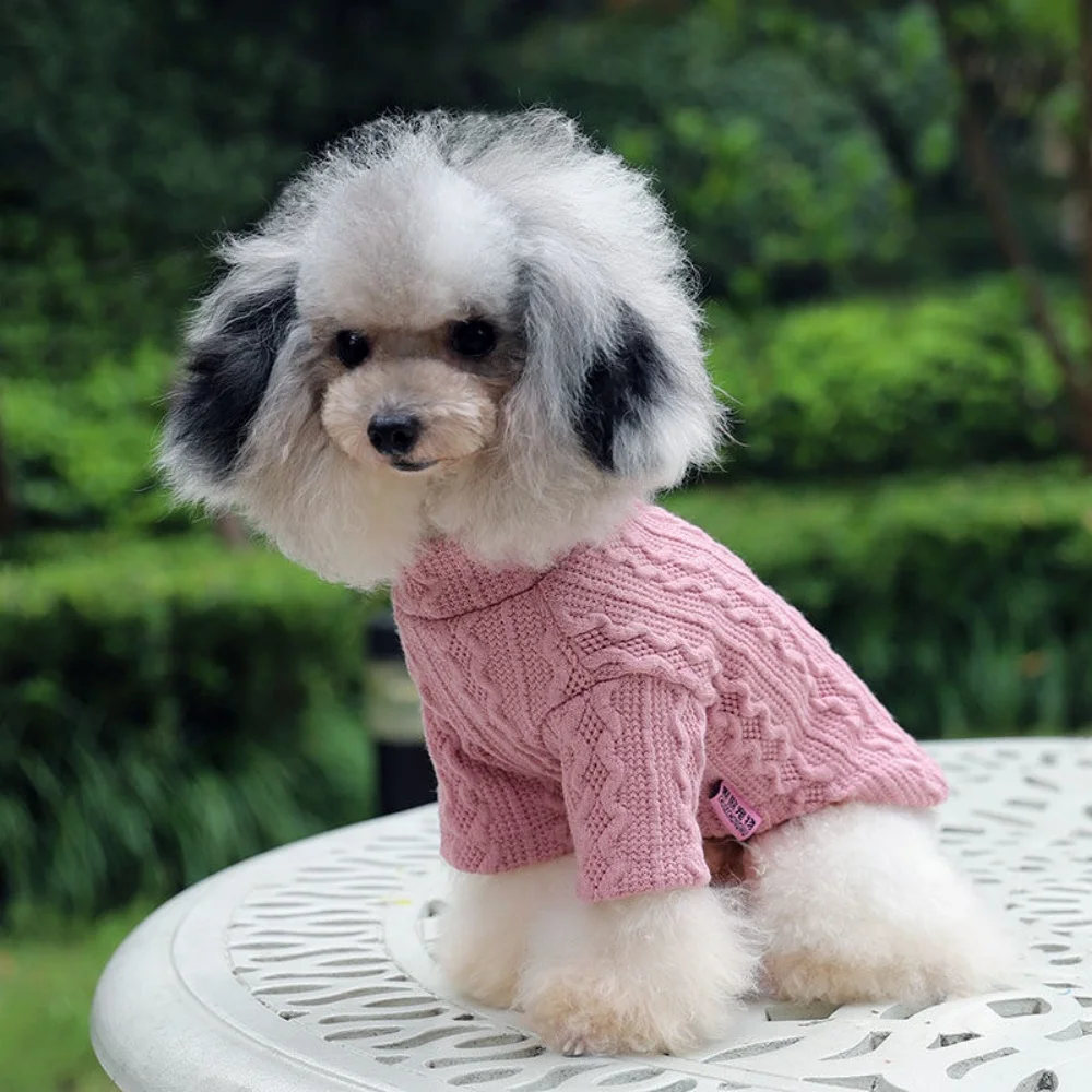 Suéter de punto de manga larga para mascotas, ropa para perros pequeños y gatos, jerséis para cachorros, precio de piso, gran oferta, Otoño e Invierno - imagen 4