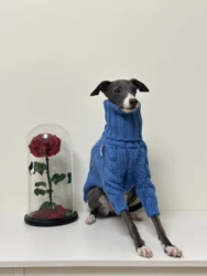 Jersey de punto para perros medianos cuello alto – suave y cálido