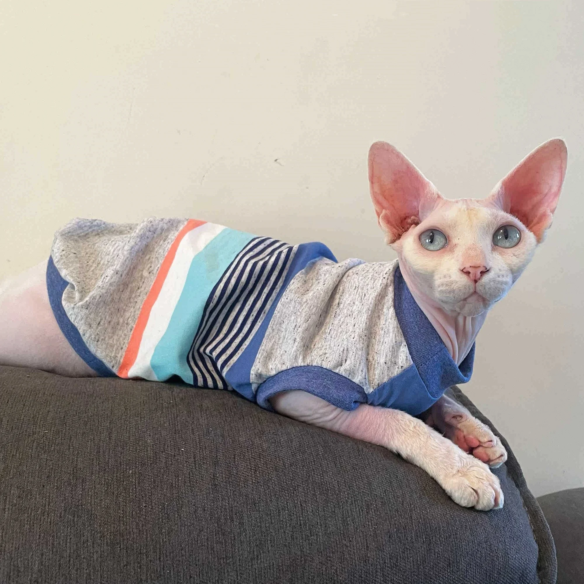 Camiseta verde sin mangas para gato Sphynx - ropa de verano - imagen 5