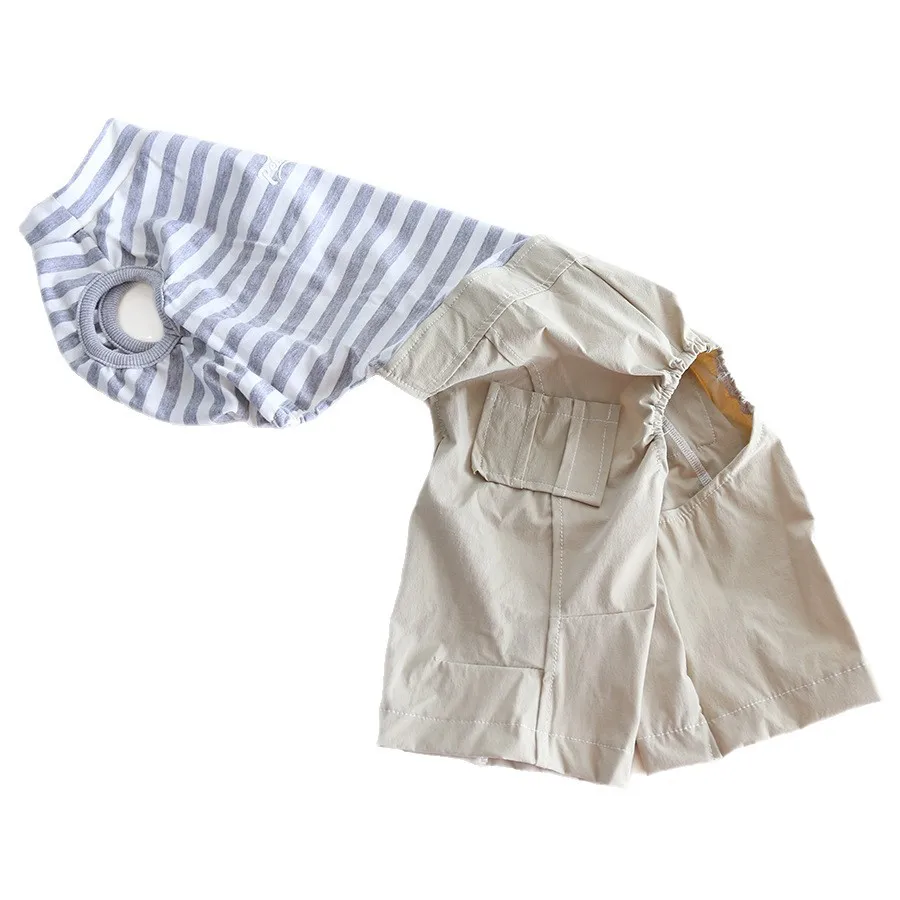 Pantalones protectores para perros: Galgo italiano y Whippet - imagen 5