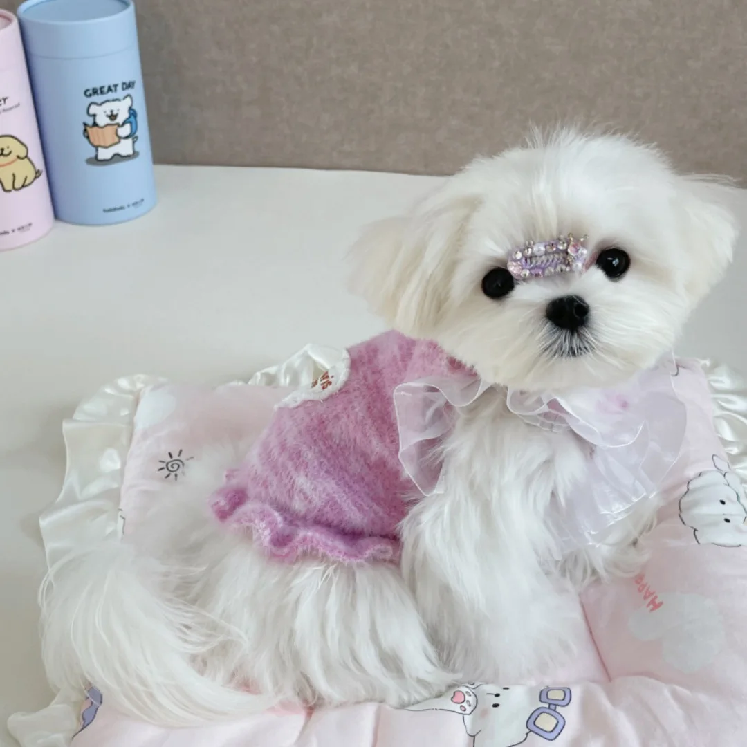 Camisola de encaje de princesa para perros pequeños, chaleco, camisola de Yorkshire, ropa para cachorros, ropa para perros pequeños