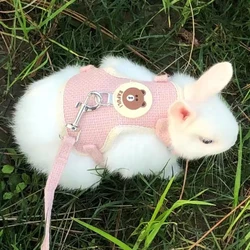 Arnés y correa con estampado divertido para gato y conejo
