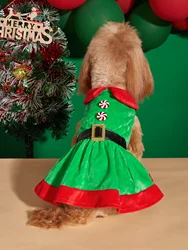 Disfraz espíritu de perro para perros pequeños – Ropa térmica suave con cinturón