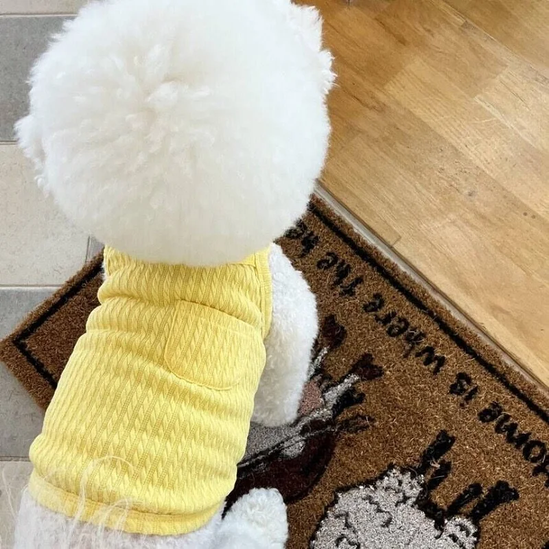 Chaleco fino de verano para perro, ropa para perros pequeños transpirable, Chihuahua, Bulldog Francés, ropa para cachorros, accesorios para perros y gatos - imagen 4