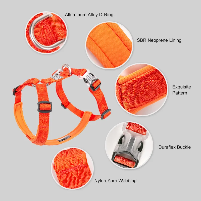 Winhyepet-arnés para perros, correas de tela sin tirar hacia atrás, accesorios antideslizantes, arnés para perros grandes, cachorros pequeños y medianos - imagen 3