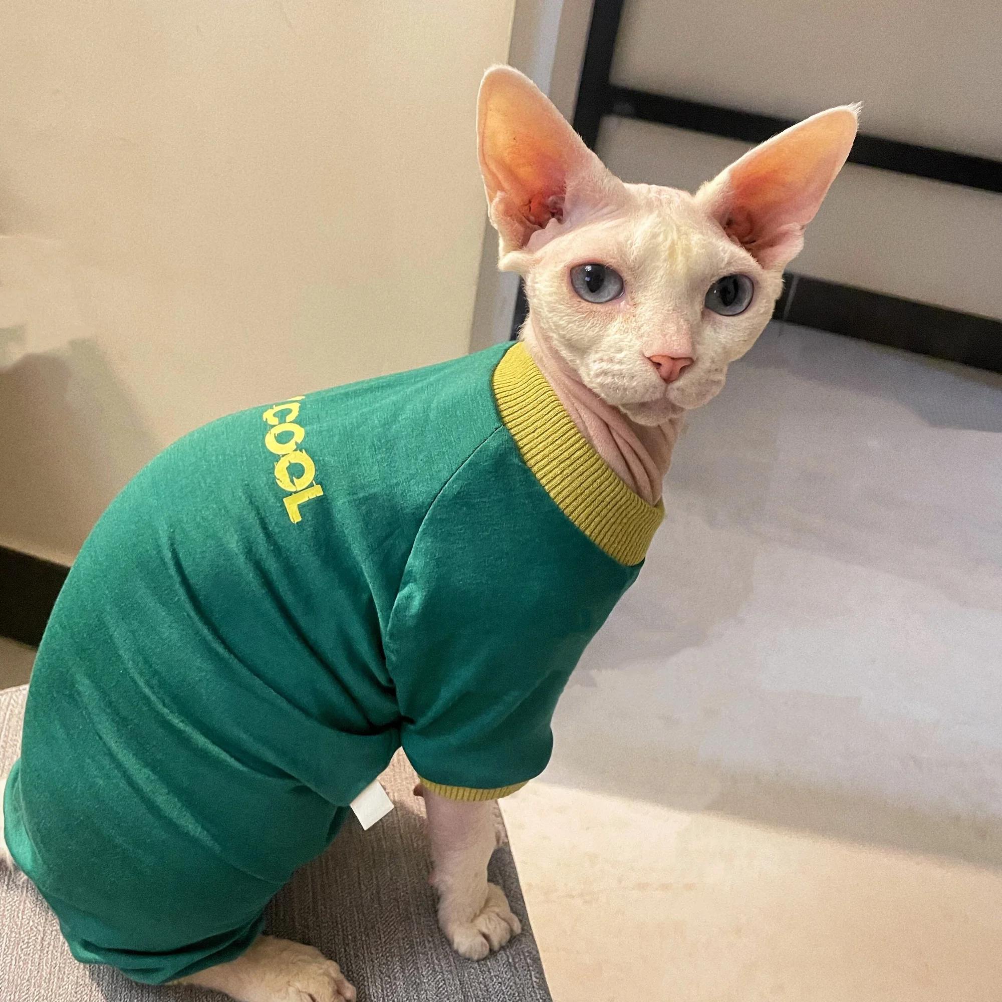 Camiseta de algodón para gato Sphynx y Devon Rex – Manga larga otoñal - imagen 3