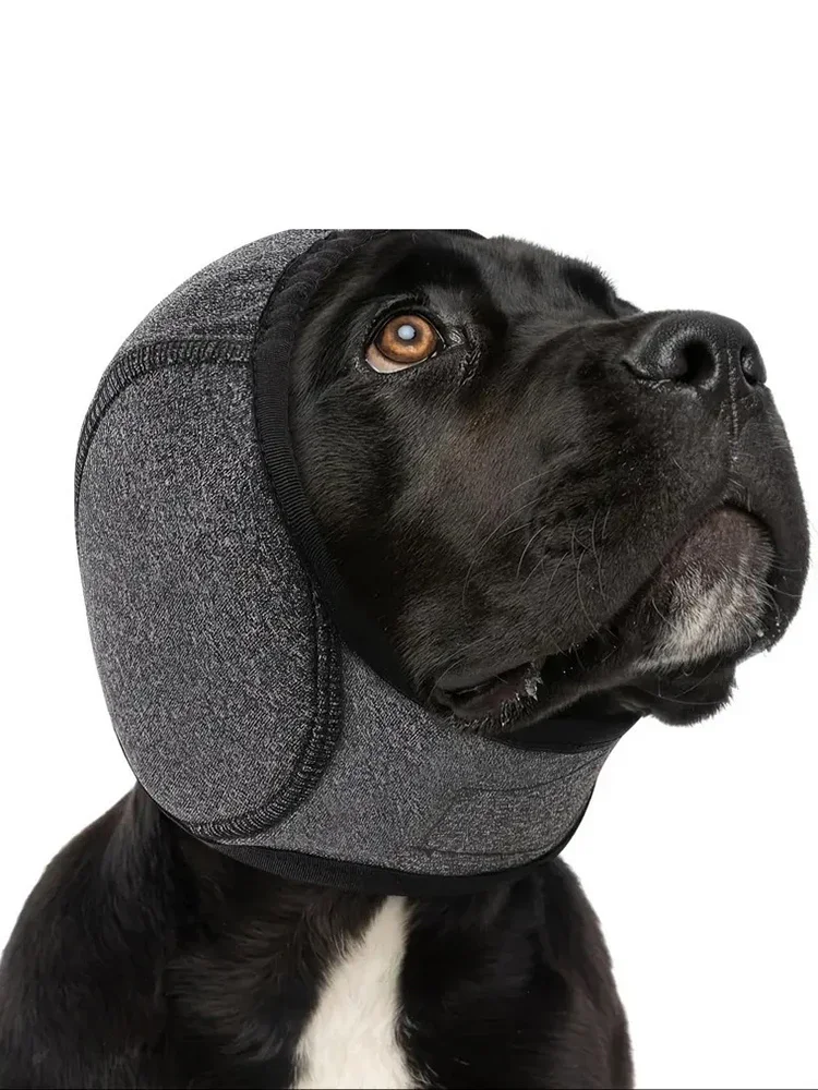 Orejeras para perros reduciendo ruido en uso