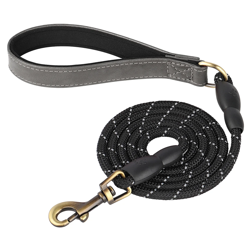 Gray Leash