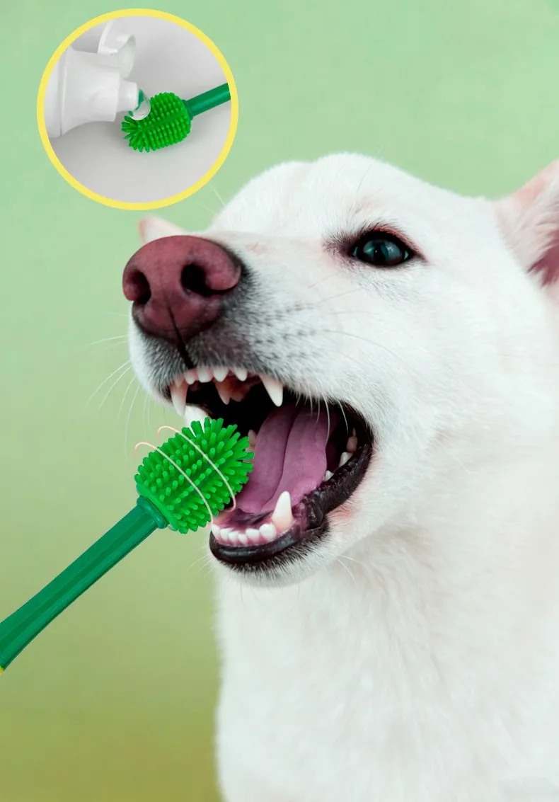 Uso en sesión – perro