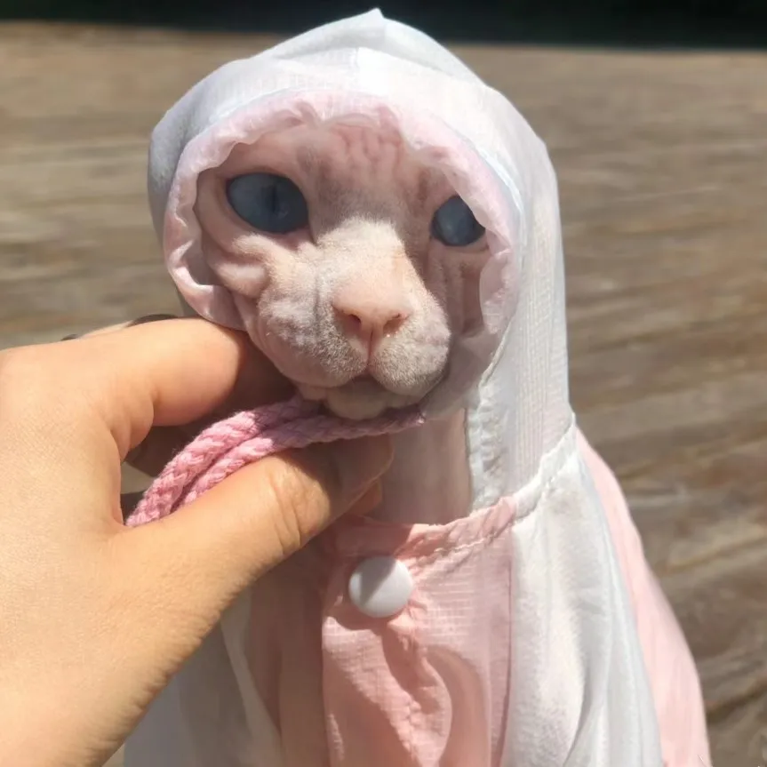Ropa Sphynx para gato Sol de verano Camisa con capucha con protección UV para Devon Rex Abrigo ligero transpirable de tela fresca para gatitos - imagen 3