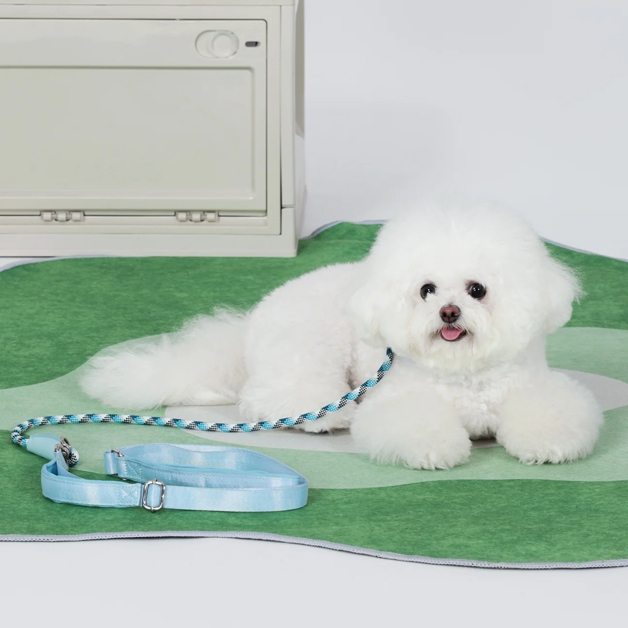 Correa P de lujo para mascotas con bolsa de almacenamiento, collar para perros con correa, correa de entrenamiento para mascotas, correa para caminar ajustable para mascotas sin tirones azul