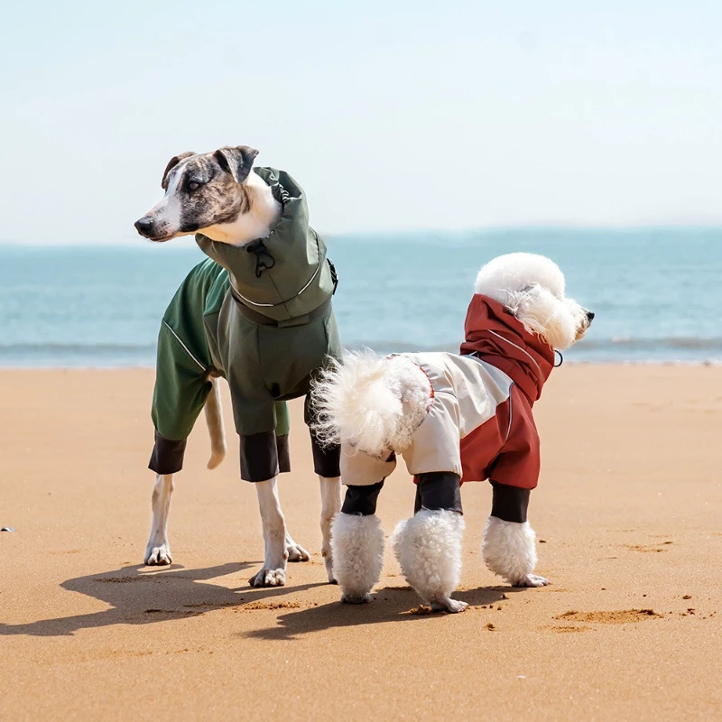 Ropa deportiva para perros, ropa para cachorros pequeños al aire libre, chaqueta impermeable para perros grandes, ropa, accesorios para mascotas, suministros de productos - imagen 5