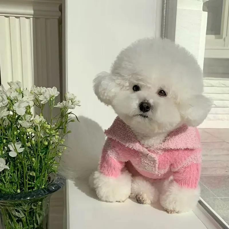 Suéter a rayas rosas para mascotas, suéter tejido con cuello para perro, suéter Base para gato Yorkshire, ropa de invierno para perros pequeños, Otoño/Invierno - imagen 4